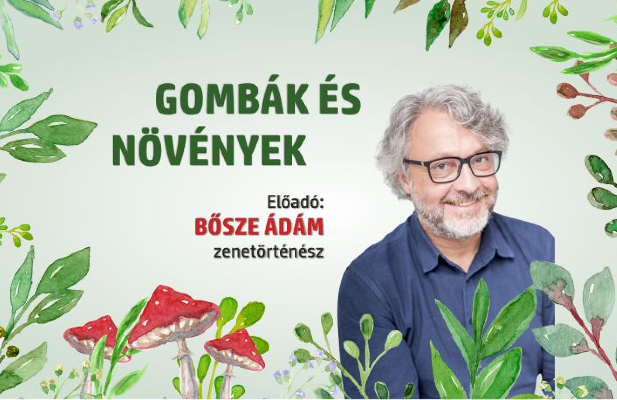 Bősze Ádám: Gombák és növények