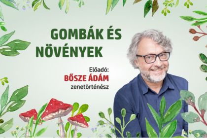 Bősze Ádám: Gombák és növények