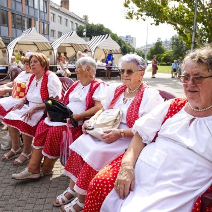 A Civil Korzón ismét bemutatkoztak a város civil szervezetei 2025. szeptember 5. kép