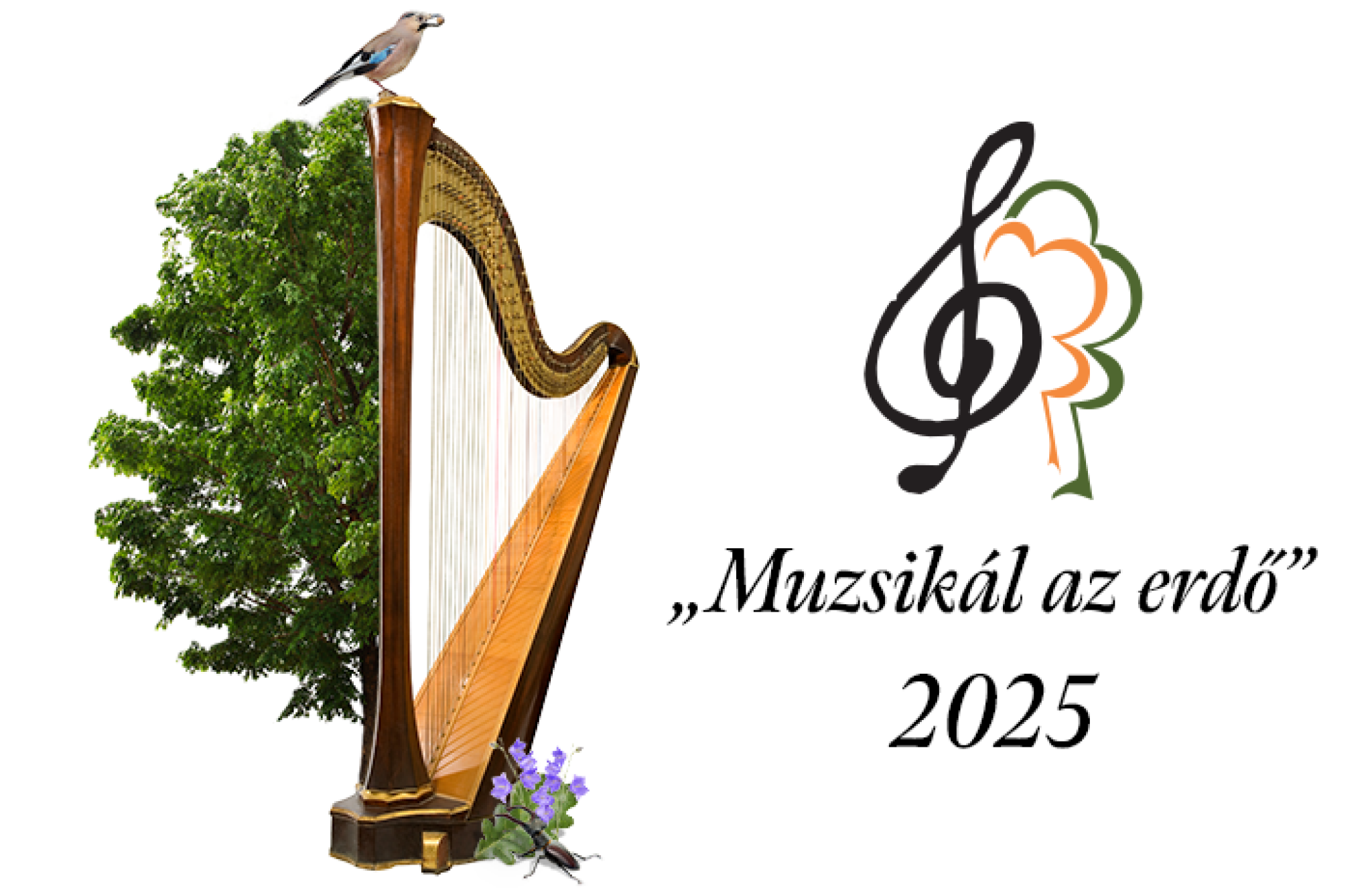 „Muzsikál az erdő” a Hírös Városban - 2025
