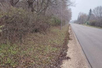 Ny&iacute;ri &uacute;t k&uuml;lső szakasz egyes&iacute;tett rendszerű gyalog- &eacute;s ker&eacute;kp&aacute;r&uacute;t &eacute;p&iacute;t&eacute;se, valamint a Szolnoki &uacute;ti ker&eacute;kp&aacute;r&uacute;t burkolat fel&uacute;j&iacute;t&aacute;sa