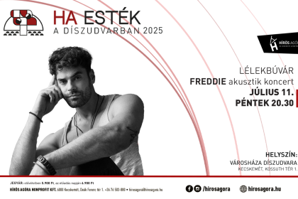 Lélekbúvár - Freddie akusztik koncert