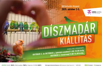 Díszmadár kiállítás