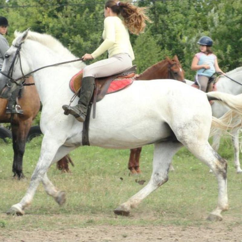 Júlia lovasfarm kép