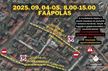 Faápolás a Csáky és a Sárkány utcákban