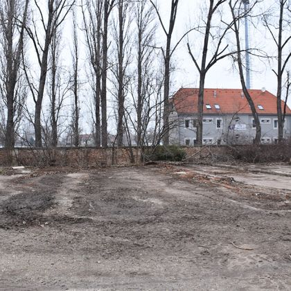 „Tisztítsuk meg az Országot!” kép